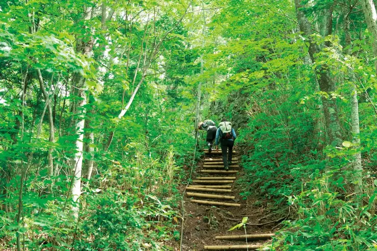 마을 산책로의 귀여운 갓파