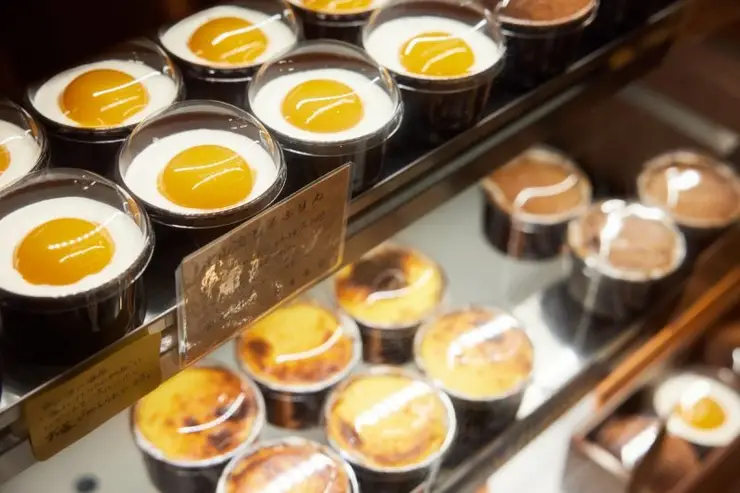 야생미 넘치는 온천 부지 외관