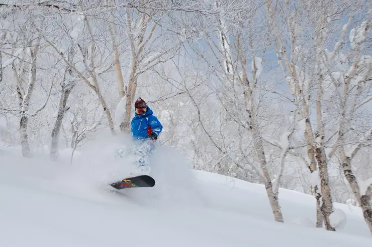 하이랜드 존의 기술적인 코스