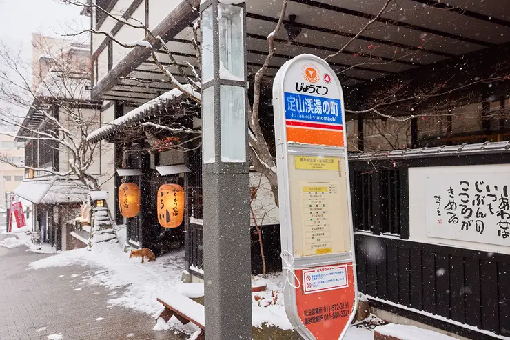 함박눈이 내리는 조잔케이 계곡 전경