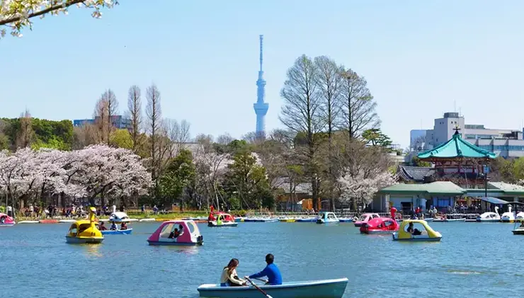 우에노 시노바즈 연못의 연꽃 풍경 - 도심과 자연의 평화로운 공존