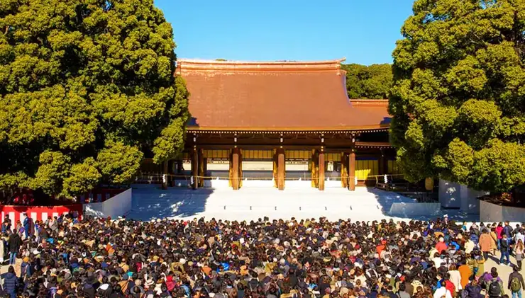 메이지진구의 거대 도리이와 숲길 - 인공림이 빚어낸 도쿄 도심의 기적