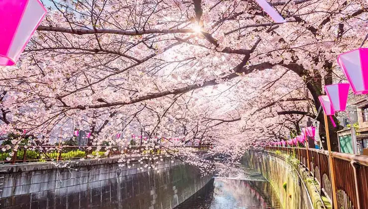 수로 옆 야외 테라스에서 전철 풍경과 함께 즐기는 카구라자카 최고의 뷰 포인트 카날 카페