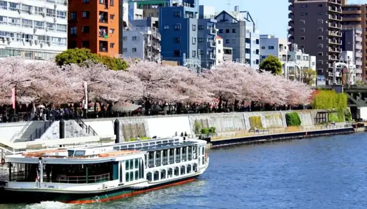 자유의 여신상과 레인보우 브릿지가 한눈에 들어오는 오다이바 최고의 포토 스팟