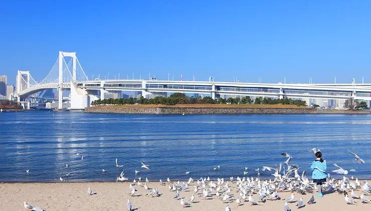 다채로운 채소와 깊은 풍미의 향신료가 어우러진 시모키타자와의 시그니처 메뉴 스프 카레