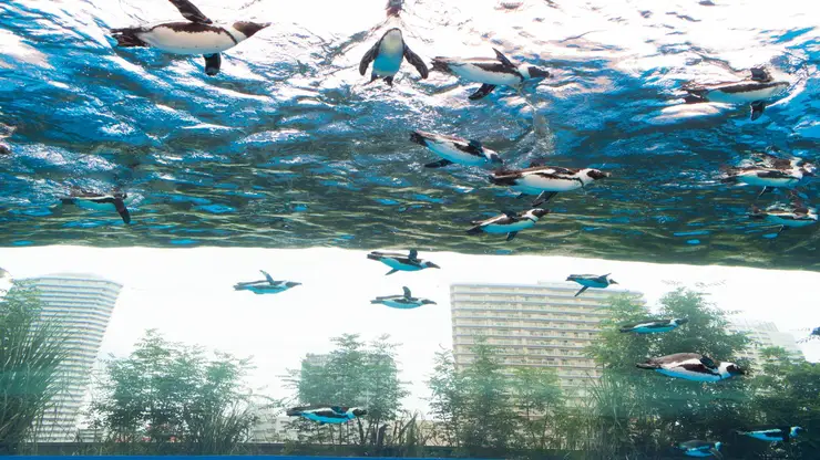 이케부쿠로를 상징하는 선샤인 시티 빌딩과 활기찬 주변 거리 풍경