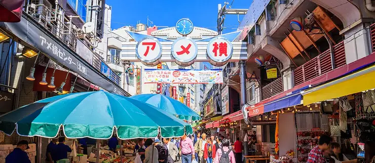 우에노 국립서양미술관과 공원 전경 - 르 코르뷔지에 설계의 모더니즘 유산