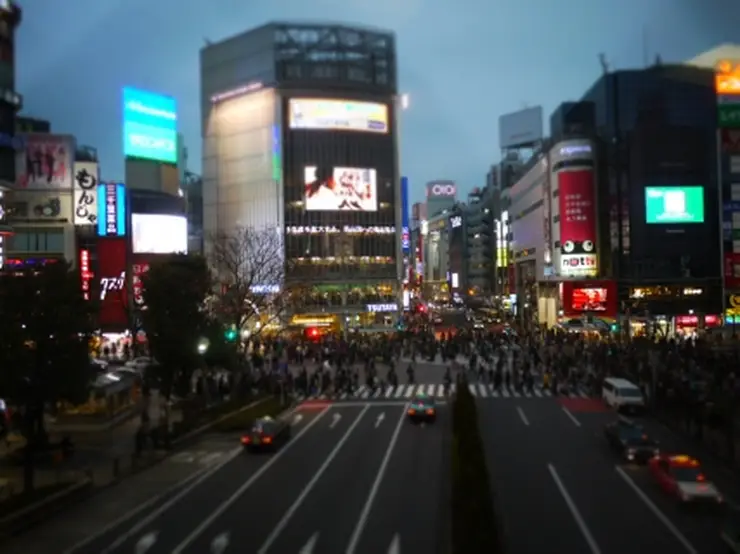 미야시타 공원 지상층에 위치한 일본 전국 미식의 집결지 시부야 요코초의 화려한 등불